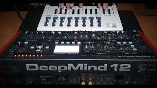 Behringer Deepmind12D - NO TALKING demo