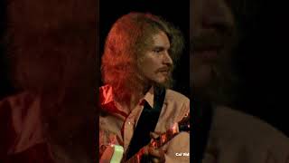 Creedence Clearwater Revival Born on the Bayou at Royal Albert Hall Live