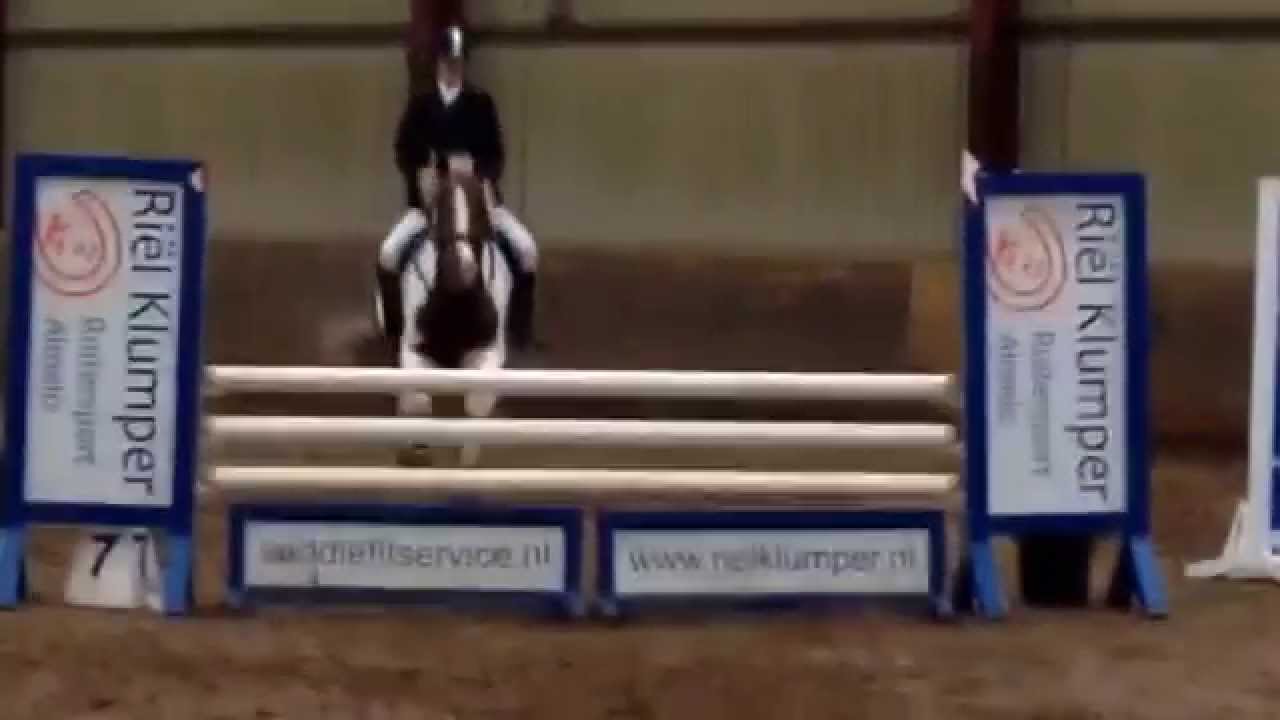 B ,1 Meter, Springen Paarden - YouTube