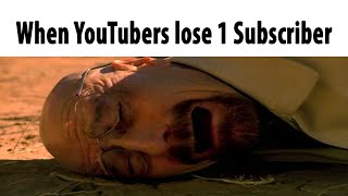 When YouTubers lose 1 Subscriber