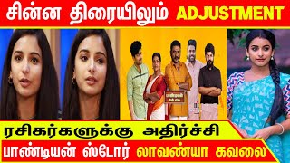 சின்ன திரையிலும் adjustment  | பாண்டியன் ஸ்டோர் லாவண்யா கவலை |ரசிகர்களுக்கு அதிர்ச்சி