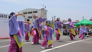 第2回佐伯・番匠YOSAKOIまつり　宮崎　弥勒連　『美栄のヒ』