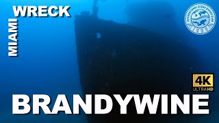 Tec #Wreck Diving: BrandyWine (Miami , Florida)