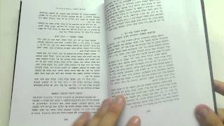 WSLIBRARY.NET - דעת תבונות ספר הכללים - Daat Tevunot Sefer Hakelalim [334]