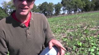 Cover Crop Discussion with Gail Fuller  Oct 3, 2014