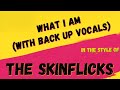 THE SKINFLICKS ✯ WHAT I AM (WITH BACKUP VOCALS) ✯ [KARAOKE VERSION] ✯ INSTRUMENTAL ✯