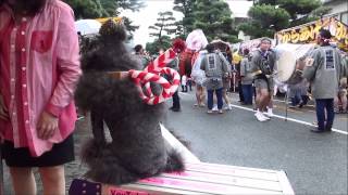 H26.9.19リルファのリリー【日本の祭りりーシリーズ】ボシタ祭り飾馬飾卸(熊本県熊本市)。竜胆会、託東会、済々黌、九学会、熊花有志会、流会、水道町親和会、熊工会、桜會、先龍会、北辰會、市組。