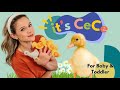 Parents Choice for Baby & Toddler I Learn to Talk I Five Little Ducks Song for Kids I it's CeCe! I