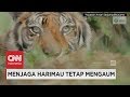 Menjaga Harimau Tetap Mengaum - Insight With Desi Anwar