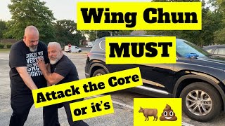 Wing Chun MUST Attack the Core or it’s Bullsh*t!