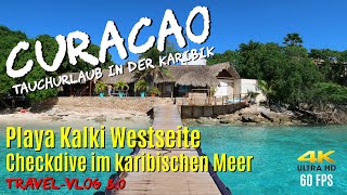 Tauchen auf CURACAO - Playa Kalki Westseite \