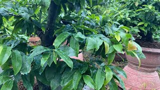 chủ động làm trước mấy việc này giúp mai luôn sung xanh mạnh đừng bị rồi mới làm