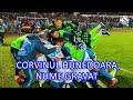 aren corvinul mândria noastră versuri lyrics