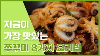 지금이 가장 알이 꽉찬 주꾸미! 쭈꾸미로 맛있게  요리하기! [만개의레시피]