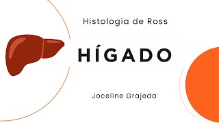 Hígado / Histología de Ross