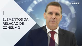 Elementos da Relação de Consumo – Com o Professor Fernando Capez