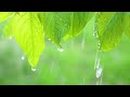 healing rain two hours of instrumental worship music