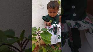 బాబోయ్ నేను కాదు🥺🥺🥺#cute #cutebaby #trending #shorts @కృష్ణతులసి