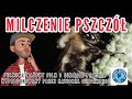 National Geographic Milczenie Pszczół Silence of the #bees pełnometrażowy #film #geographic