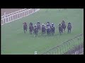 20181209 greyville express clip race 6 won by lady li lay