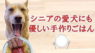 【簡単手作り犬ご飯】シニアの愛犬にも優しい手作りごはん【帝塚山ハウンドカム】