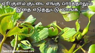 இவ்வளவு நாள் இது தெரியாம போச்சே...இனி இதை ஏரி,குளம்,குட்டை எங்கு பார்த்தாலும் எடுத்துட்டு வாங்க