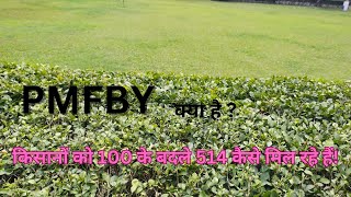 PMFBY क्या है? कैसे मिल रहे हैं 100 के बदले 514 रूपए #youtube #agriculture #insurance