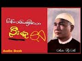 ပြန်လမ်းမရှိသောဦးနု_သိန်းဖေမြင့် audiobook audiobyme