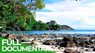Cocos Island - Mysterious Wonder of the Pacific Ocean | Free Documentary Nature