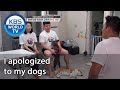 I apologized to my dogs (Dogs are incredible) | KBS WORLD TV 201028