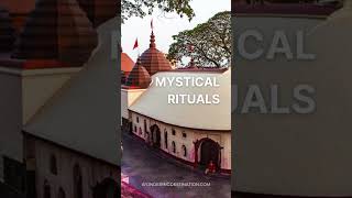 Embarking on a Spiritual Journey: Exploring Kamakhya Temple #shorts