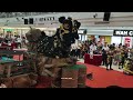 2023 malaysia traditional lion dance championship 蓮花苑杯 @ cheras leisure mall 馬來西亞玄龍體育總會