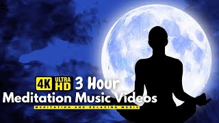 Meditation Music ● Yoga Music, Zen, Calm Music, Yoga Workout, Sleep, Spa, Healing, Study