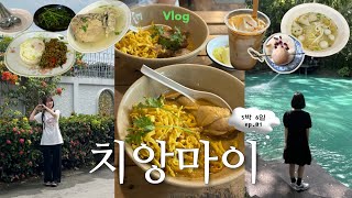 치앙마이 브이로그 | #1 (반캉왓, 매일 야시장 구경하기, 인스타 핫플 카페, 가성비 최고 식당, 숙소까지!)