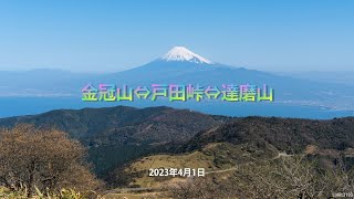 金冠山⇔戸田峠⇔達磨山(2023年4月1日)