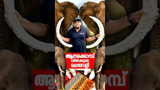 ആന കൊമ്പ് വില്‍കുന്ന മലയാളി 🔥 #viral #shorts #shortsvideo