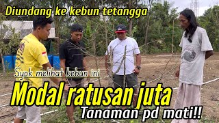 PENYEBAB POHON DURIAN PADA MATI DAN STAK NAN