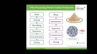 Overcoming the Challenges in the Production \u0026 Utilization of Plant Protein Isolates in Food