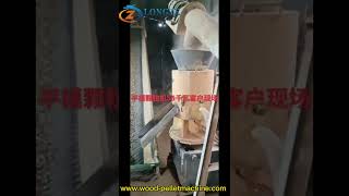 55kw flat die pellet machine customer production