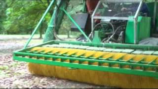 Harvest Time at Macadamia House