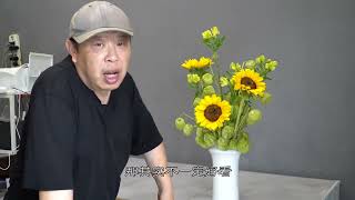 【大叔说花】每周一花196/唐棉向日葵六出花家庭生活居家花瓶插花