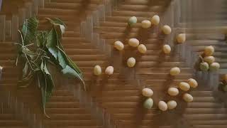 neem flowers fruties leafs stick all  uses ☺️ వేప ఆకు పండ్లు పుల్ల అన్ని ఆరోగ్యానికి మంచిది  👌