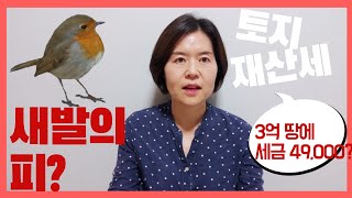 부동산 투자 | 토지 재산세 엄청 낮아요.