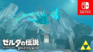 【ゼルダの伝説botw】ジター・サミの祠＆ネルドラ戦 #81