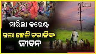 ବିଦ୍ୟୁତ ତାର ସଂସ୍ପର୍ଶରେ ଆସି ଚାଲିଗଲା ଛେଳି ଚରାଳିଙ୍କ ଜୀବନ, ୨ ଗିରଫ I