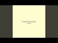 Pulse Silver Ember