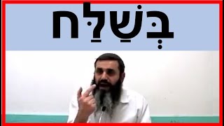 בשלח - פרשת השבוע - 🌊👥👥🌊 - הרב אהרון זאב שצמן