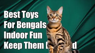 What are the best toys to keep a Bengal cat entertained indoors?