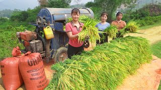 360 Day Clean Agricultural Harvesting - Build A Cabin, Farming, Raising Ducks & Chickens