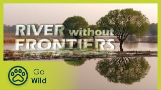 River Without Frontiers - Go Wild